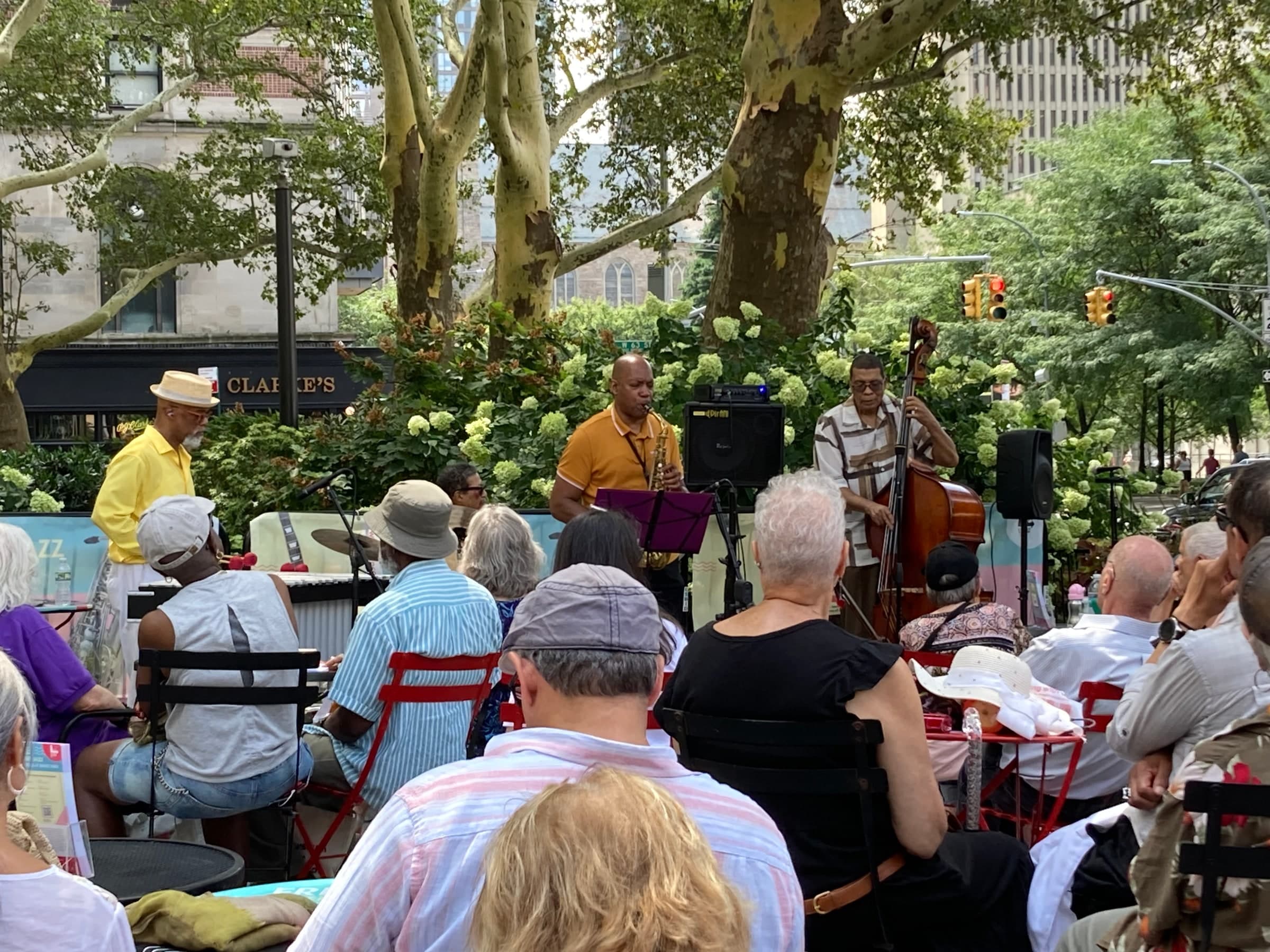 A band plays an afternoon concert in a city park under plane trees and white hydrangeas: a man in a yellow shirt and straw hat, a saxophonist and a bassist, with the audience at café tables in the foreground.