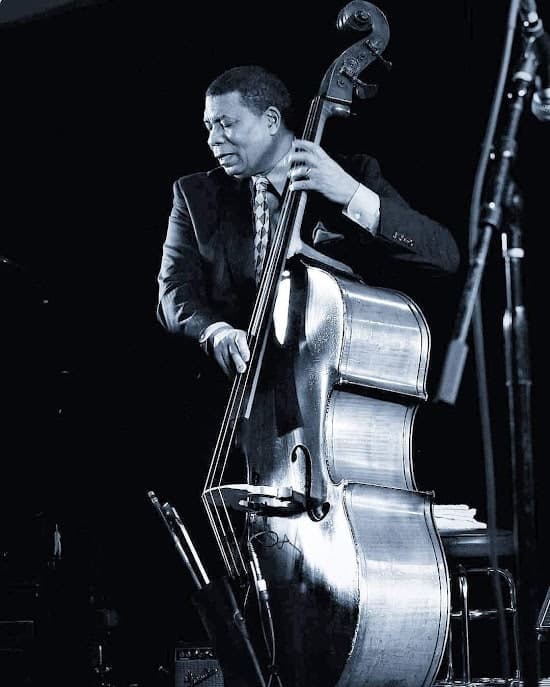 A black-and-white photo of a bassist in a dark suit and patterned tie, playing the upright bass on a dark stage beside a microphone stand.