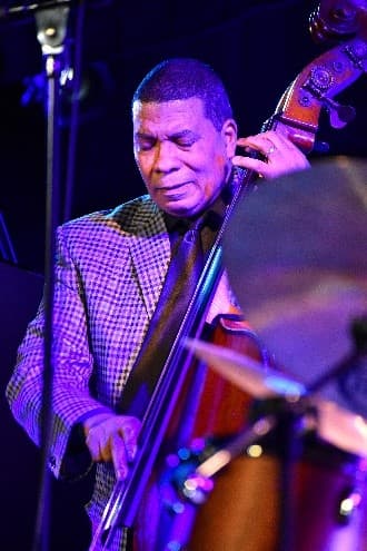 A bassist in a checked jacket plays under blue and purple stage light, with a cymbal in the foreground.